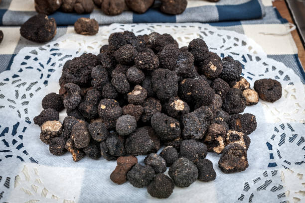 istock Famous black truffles on the table. 1181217781