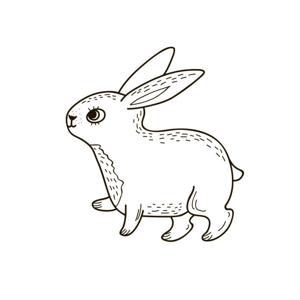 Con Thỏ Dễ Thương Bản Vẽ Tuyến Tính Vector Theo Phong Cách Doodle Bản Vẽ Thỏ  Rừng Hình minh họa Sẵn có - Tải xuống Hình ảnh Ngay bây giờ - iStock