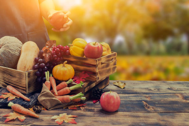 istock Fall harvest cornucopia. Autumn season with fruit and vegetable. Thanksgiving day concept. 1181221194