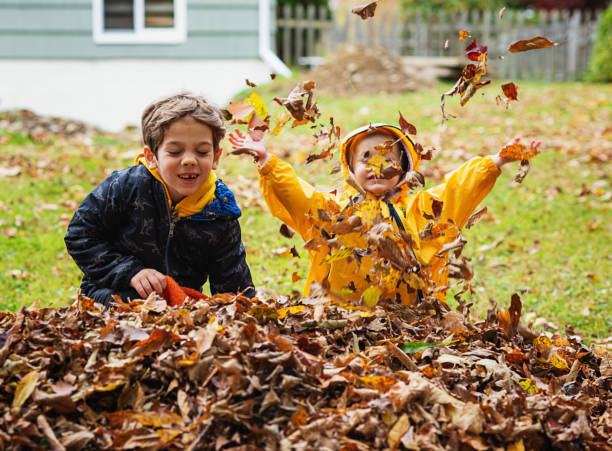 Brother Sister Play In Leaves Stock Photo - Download Image Now - Leaf,  Autumn, Child - iStock