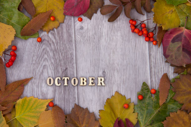 istock autumn background, inscription October 1181229240