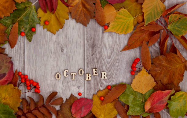 istock wooden background with colorful fall leaves arrangement. Copy space 1181229356