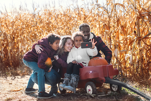 Mixed race family picking pumpkins at the farm, during autumn, Quebec, Canada