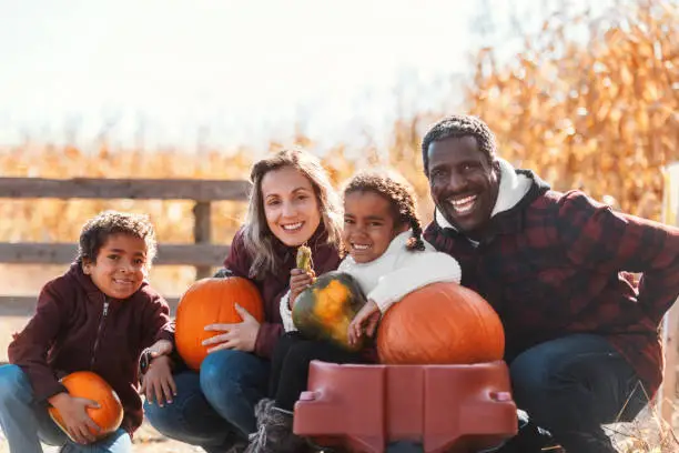 Mixed race family picking pumpkins at the farm, during autumn, Quebec, Canada