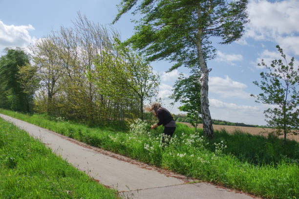 istock Woman picking Wildflowers 1181229674