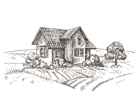 A vector image of a village house. The village landscape. Vintage illustration. House in the field. Sketch graphics. Engraving.