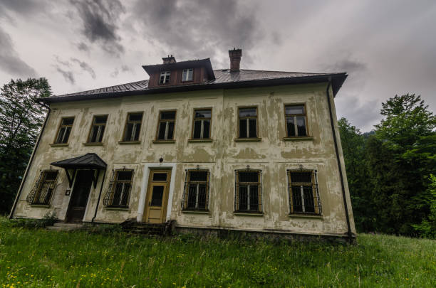 istock large villa in nature 1181234859