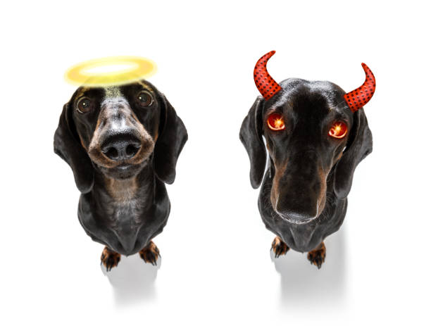 istock halloween  ghost  dog trick or treat 1181242692