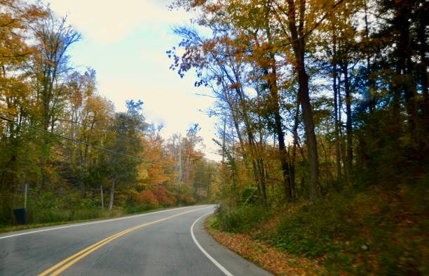 istock Country Road in Autumn 1181242981