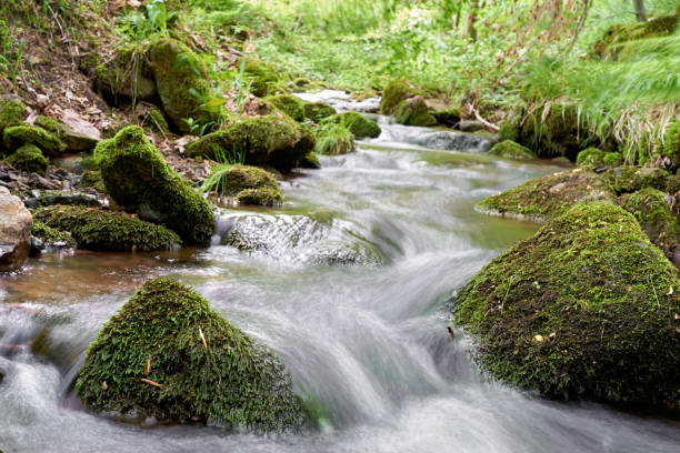 istock Mountain stream in the Thuringian Forest in Germany 1181243271