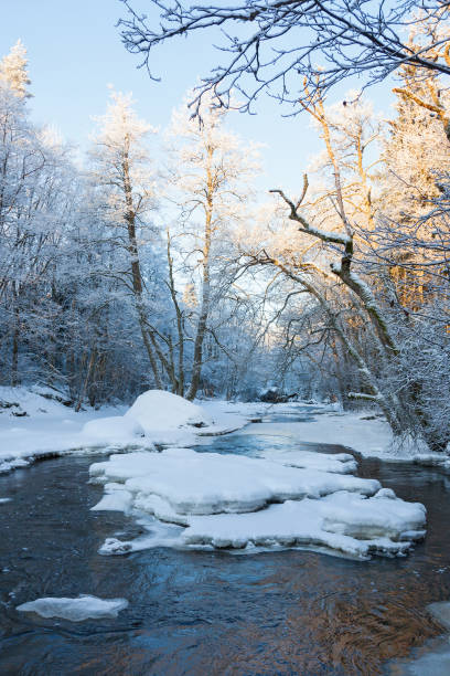 garganta com rio e floresta no inverno - 18630 - fotografias e filmes do acervo