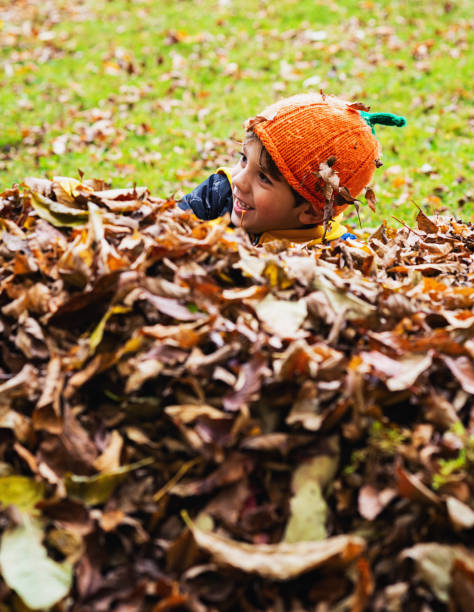 istock Boy Plays in Leaves 1181244680