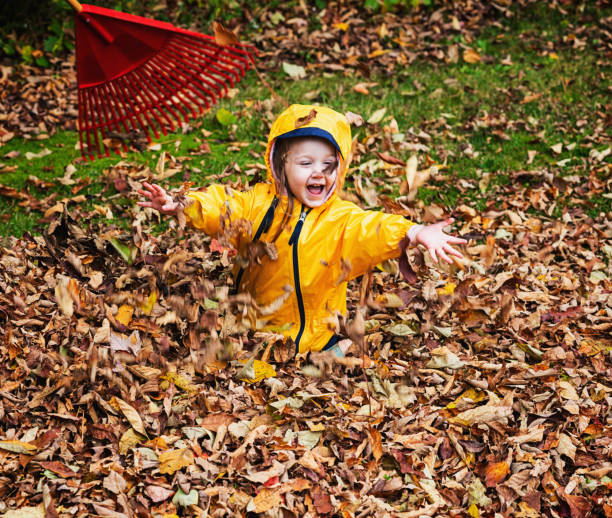 istock Girl Plays in Leaves 1181245262
