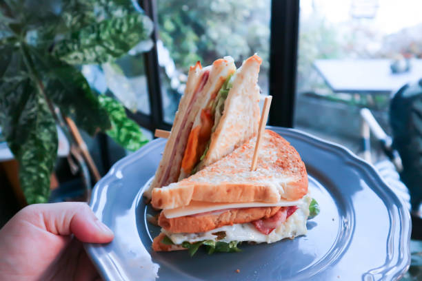 istock holding sandwich, club sandwich 1181246663