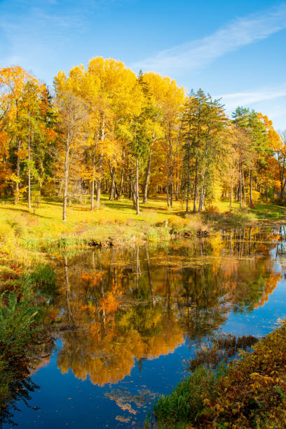istock Wonderful autumn landscape 1181249424