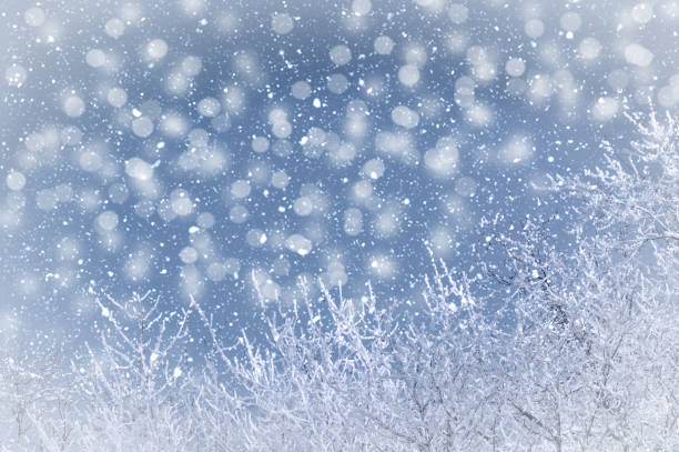 istock trees in the snow against the blue sky, background 1181250112