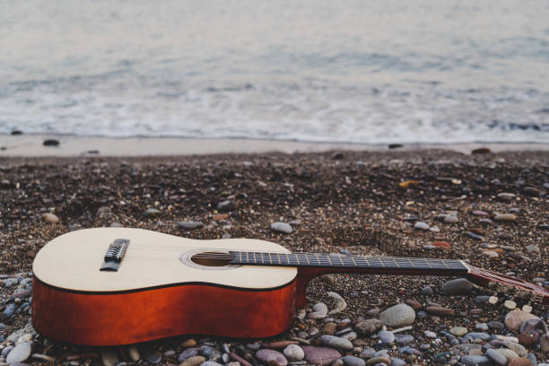 istock Classic guitar on the beach 1181250217