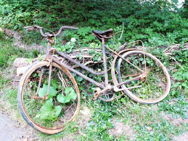istock Old and rusted bicycle recovered from a river 1181251146