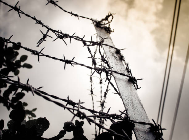 istock Tangle of barbed wire against the darkness sky 1181251507