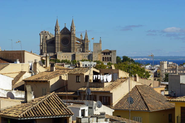istock Cityscape of Palma de Mallorca 1181252518