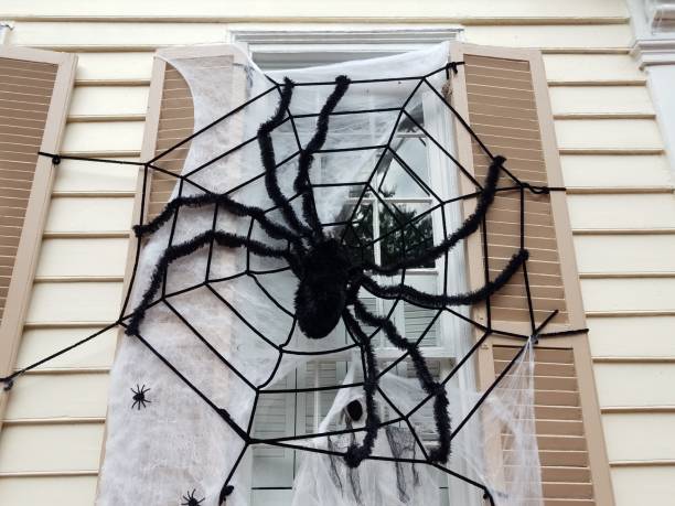 istock house with window and black spider Halloween decoration 1181252687