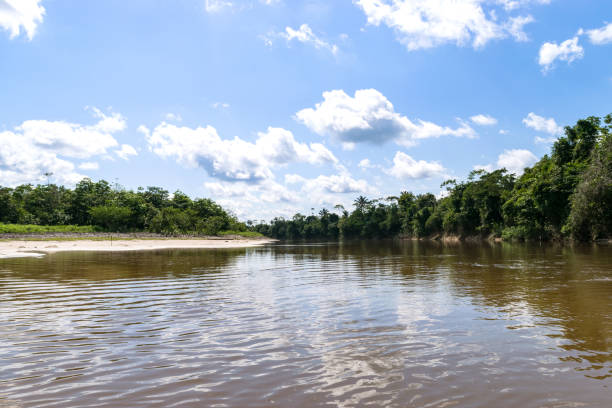 istock Peru, Peruvian Amazonas landscape. The photo present reflections of Amazon river. 1181252762