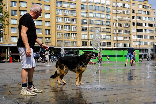 Brussels, Belgium. 26th July 2019.A dog drinks water at a fountain during a hot summer day.