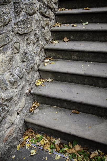 istock Autumn leaves stairs 1181255343
