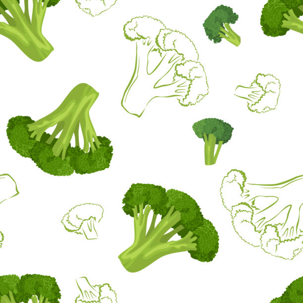 kuvapankkikuvitukset aiheesta parsakaali saumaton kuvio valkoisella taustalla. vektorikuva vihreästä kaalista sarjakuvan yksinkertaisella tasaisella tyylillä ja ääriviivakuvalla. tuoreita vihanneksia. - parsakaali