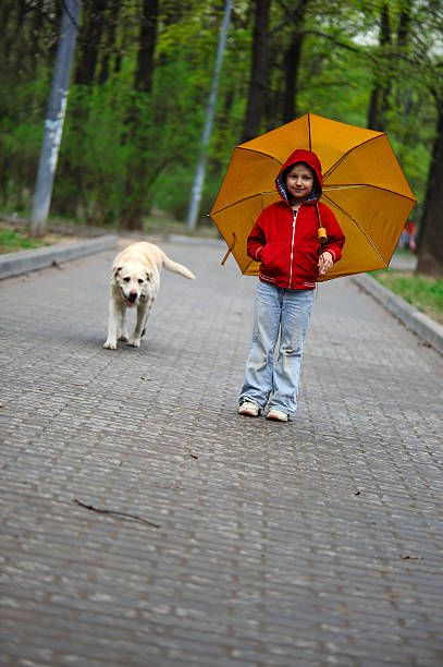 istock Little girl with a dog 118125566