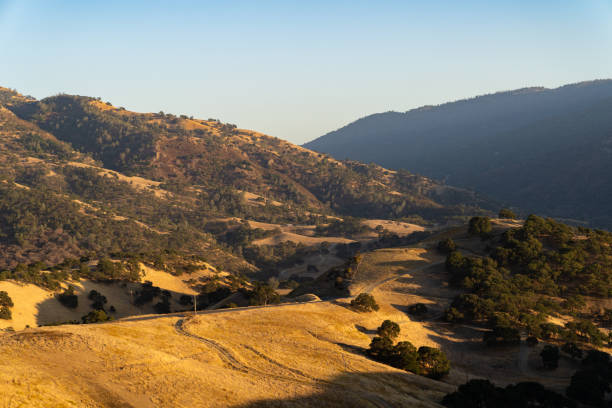 istock Oak Trees and rolling hills at sunset 1181259750