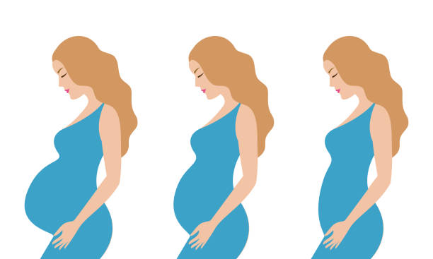 ilustrações de stock, clip art, desenhos animados e ícones de simple cute colorful vector illustration of blonde pregnant women with different hairstyle in blue dress. 3 trimesters during pregnancy. - dress human pregnancy young women women