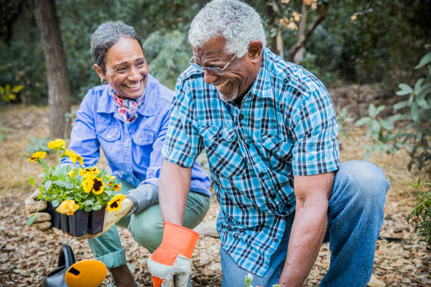 coppia afroamericana senior piantare in giardino - gardening couple senior adult ethnic foto e immagini stock