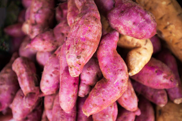 frisch lila gefärbte süßkartoffeln stapeln sich auf einem lokalen markt. - food sweet potato yam vegetable stock-fotos und bilder