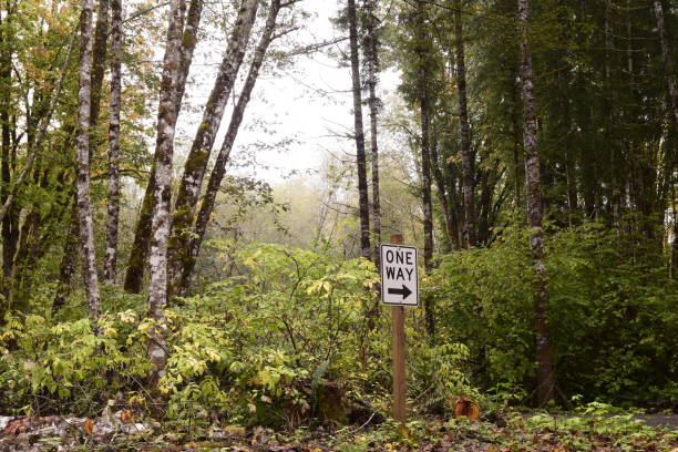 istock One Way Sign Among Beautiful Lush Forest During Autumn At Capitol State Forest 1181265392