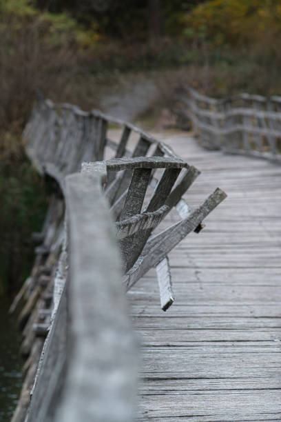 istock Old wooden bridge over the riverbed 1181267428
