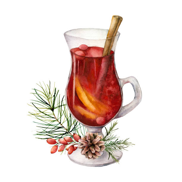 水彩のクリスマスはモミの枝とベリーでワインを温めました。手描きのワイングラス、松ぼっくり、シナモンは白い背景に隔離されています。デザイン、プリント、ファブリックまたは背景� - pine tree pine cone branch isolated点のイラスト素材／クリップアート素材／マンガ素材／アイコン素材