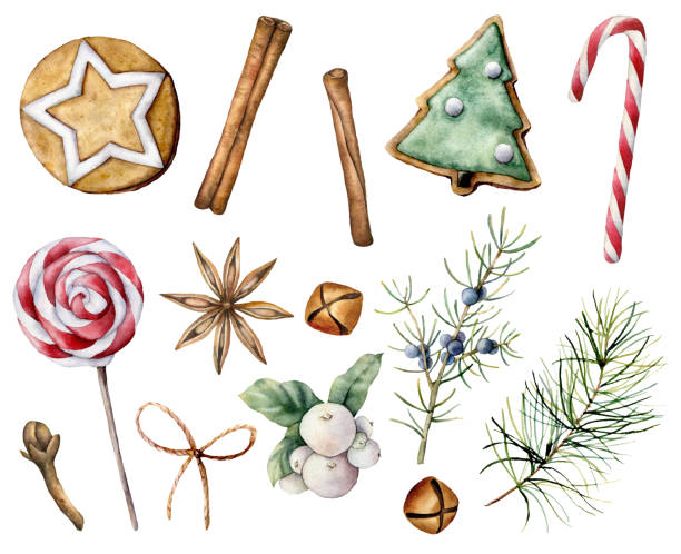 aquarell weihnachtsgebäck set. hand bemalt zuckerrohr, lutscher, kekse, wacholder und schneebeere isoliert auf weißem hintergrund. feiertagssymbole. illustration für design, druck, stoff oder hintergrund. - christmas holiday vacations candy cane stock-grafiken, -clipart, -cartoons und -symbole