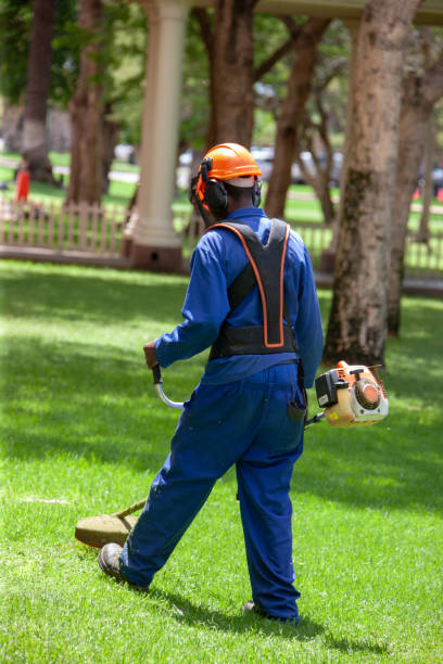 Grass cutting, African man with a gasoline cutter