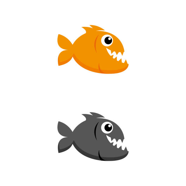 illustrazioni stock, clip art, cartoni animati e icone di tendenza di pesce 25 - piranha