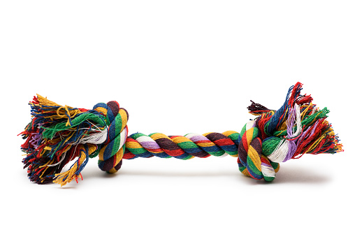 Rope tug toy for fetch or tug-of-war game with a dog