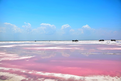 Pink Lake Coloradas photo