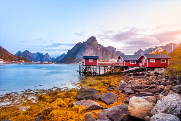 Beautiful View of Reine harbor in Lofoten Islands, Norway stock photo