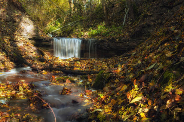 istock Waterfall green forest river stream landscape. Autumn time. 1181279794