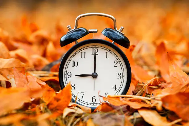 Photo of Autumn concept. Alarm clock black on a background of yellow fallen foliage. Fall season