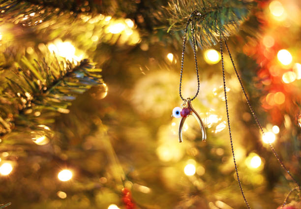 クリスマスツリー上の幸運なウィッシュボーンネックレス - クリスマスギフトジュエリー - 夜のクリスマスシーン - animal bone stone necklace bead ストックフォトと画像