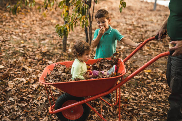 grandpa e grandkids, tendo o divertimento no quintal - wheelbarrow playing sibling rural scene - fotografias e filmes do acervo