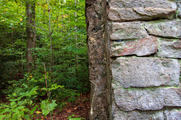 istock Old stone wall and forest close up 1181299419