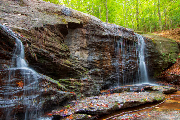 istock Fallen leaves and waterfall in early autumn 1181299442