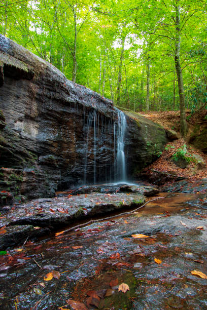 istock Fallen autumn leaves and forest waterfall 1181299451